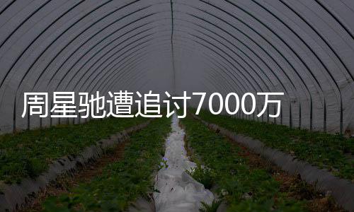 秘 于因揭周星追讨周星续审万案文凤驰遭驰分手原