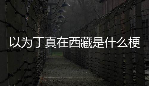 丁真丁真以为在西在哪梗里家乡藏是什么