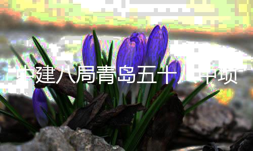 中建主体八局八中项目五十青岛全部封顶
