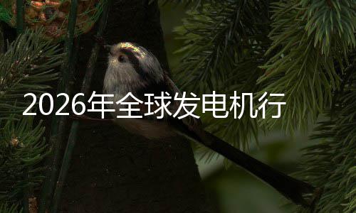 年全内外电机名业国规模领行业先企及排球发份额市场市场